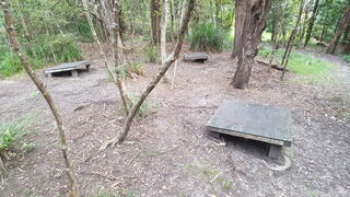 Hobo Stoves