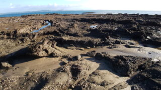 Rocky Shore