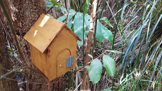 Geocaching